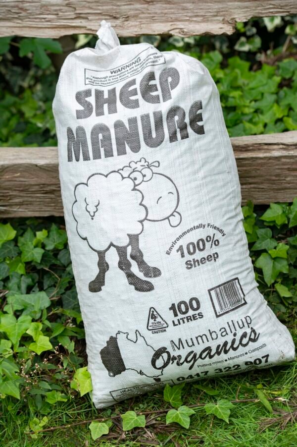 SHEEP MANURE