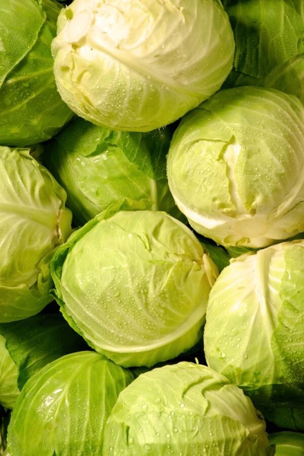 Can You Freeze Cabbage_ Yes, and Here's How To Do It Right CABBAGE