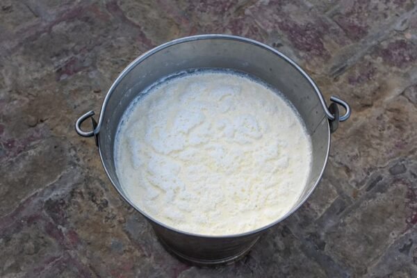Fresh organic A2 cow milk_ Hansali Organic Farm Goat Milk