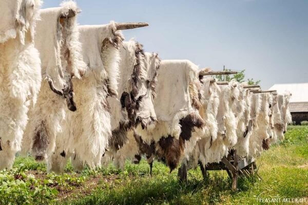 SHEEP LEATHER