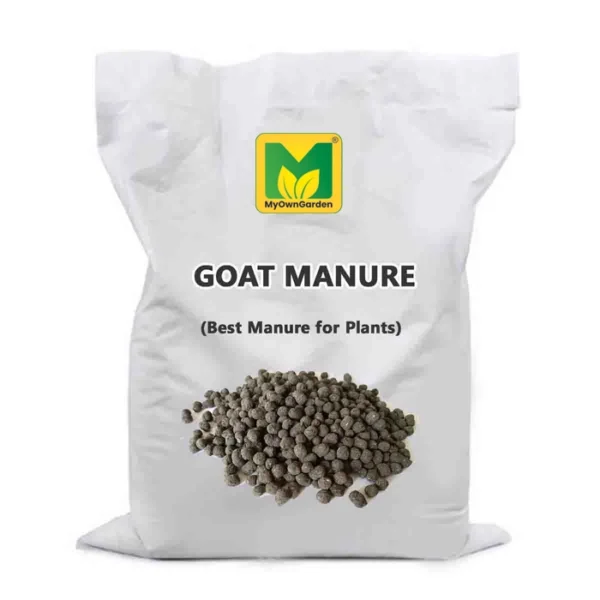 GOAT MANURE