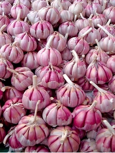 download (5) Garlic