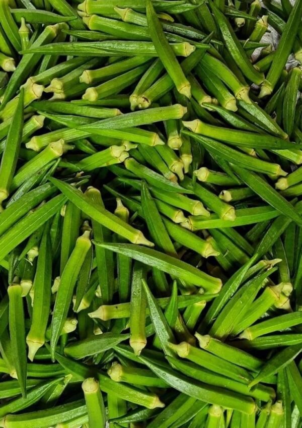 download (6) Okro