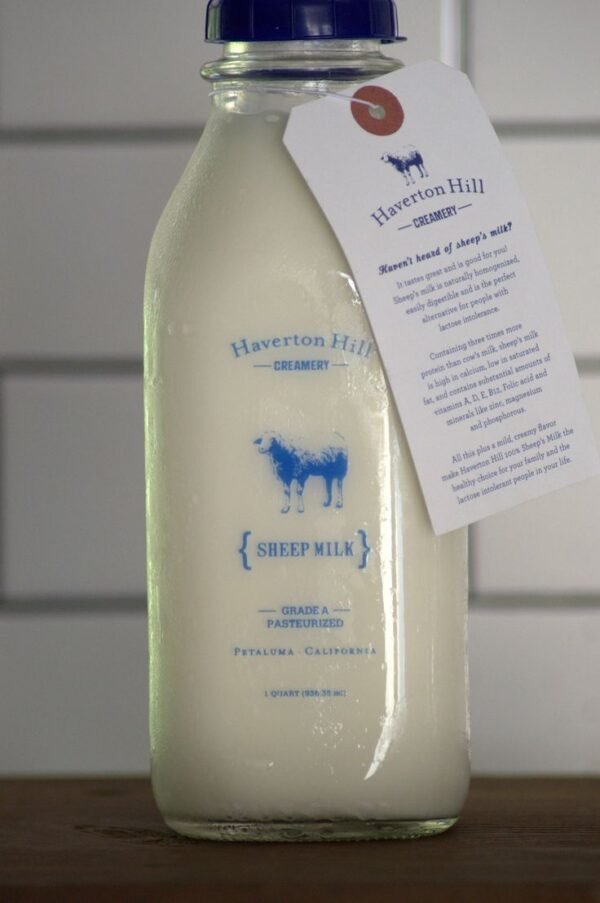 Sheep Milk