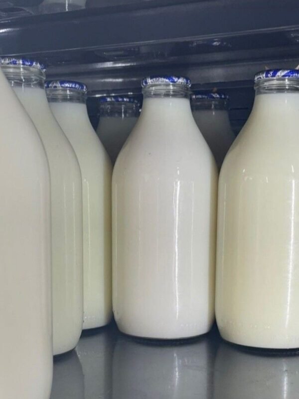 rhett eaton - flawless by elsie silver _ chestnut springs series Cow Milk